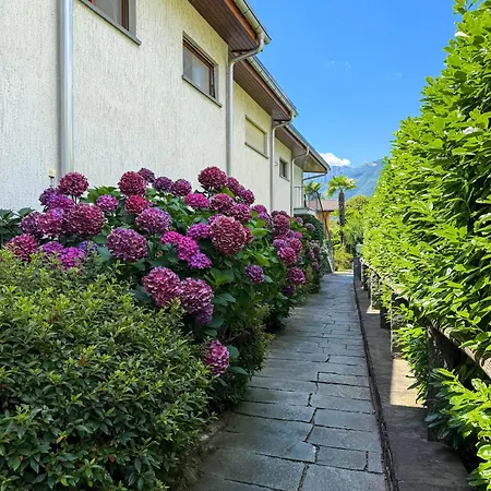 Residenza Vecchio Fiume By Holap Sa Ascona